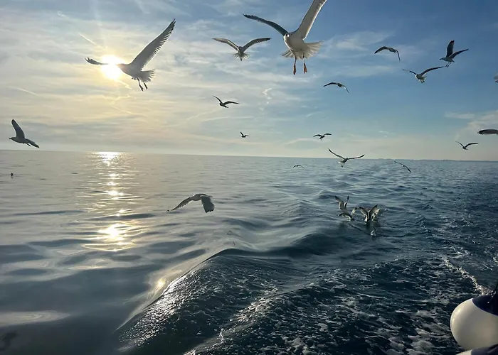 Gold With Free Parking Apartman