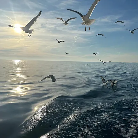 Gold With Free Parking Apartman